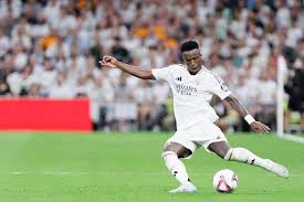 多点开花的 多点开花的